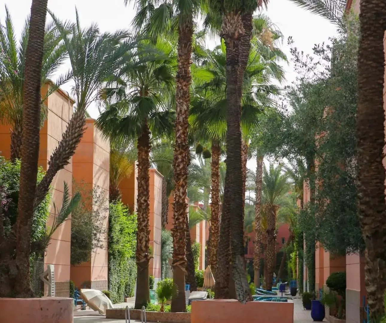 Apartment Riad Majestic Marrakech Marrakesh Morocco
